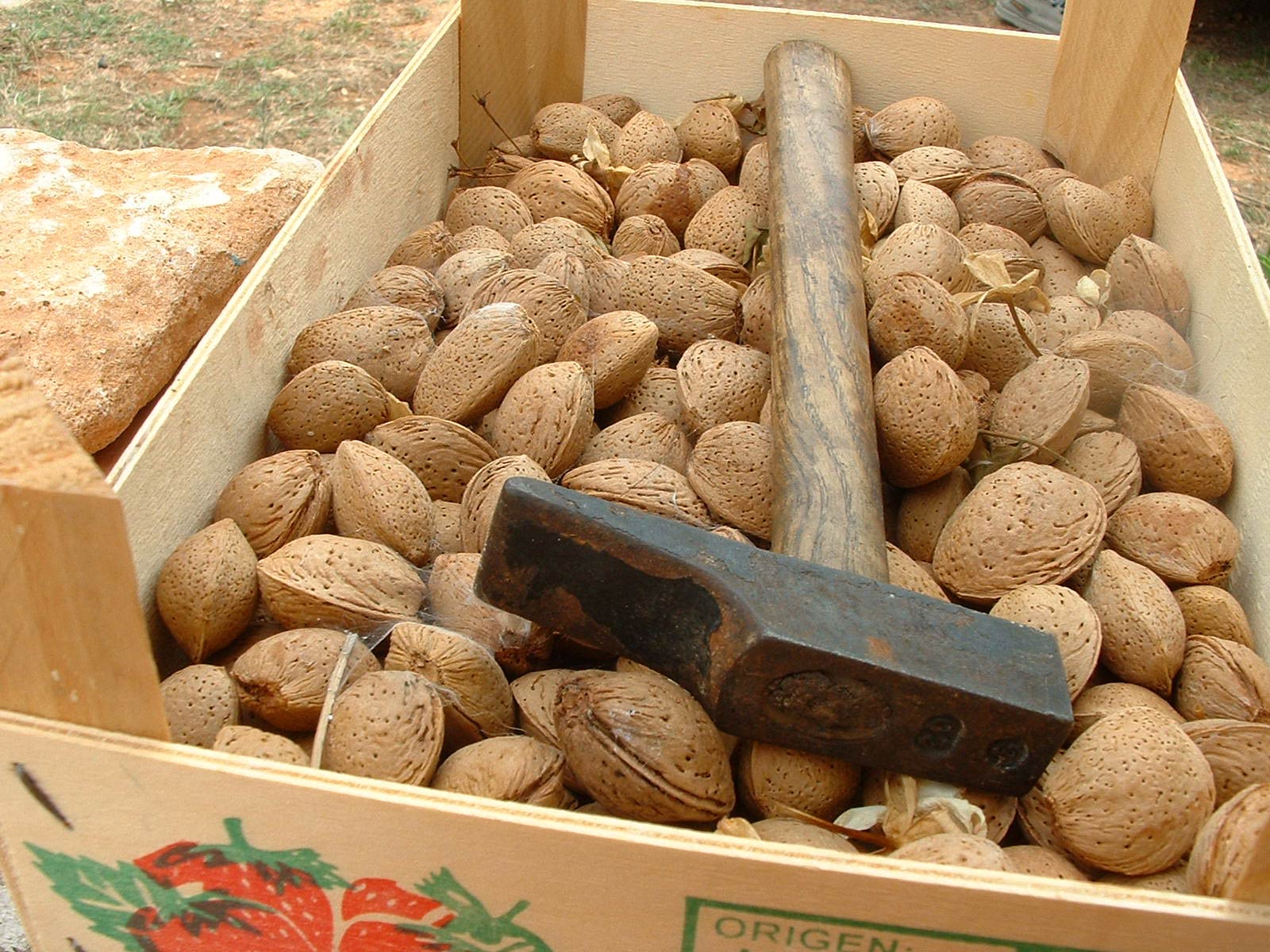 Almendras