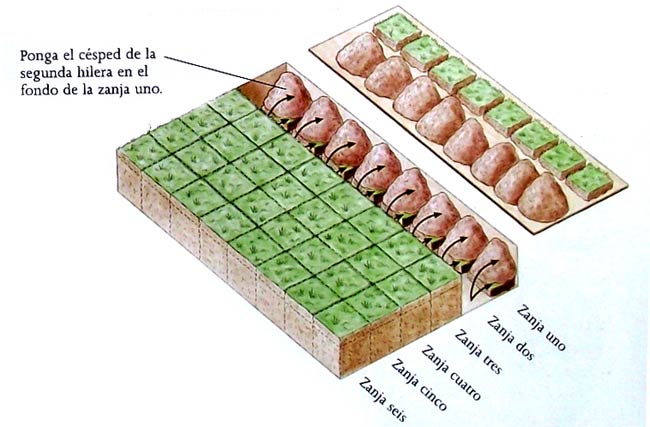 bancal profundo proceso