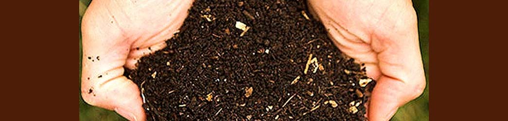 tierra compost