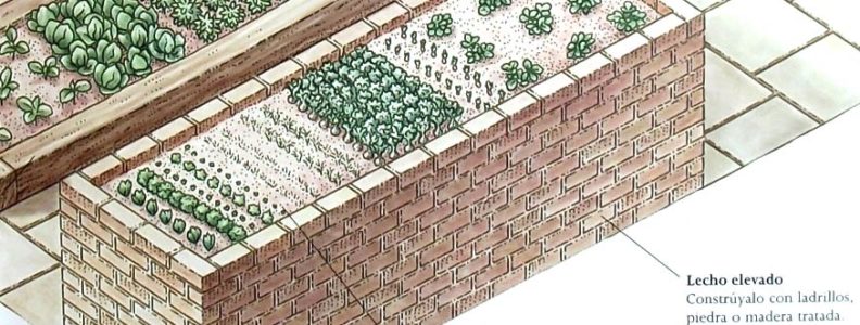 cultivos en lecho elevado