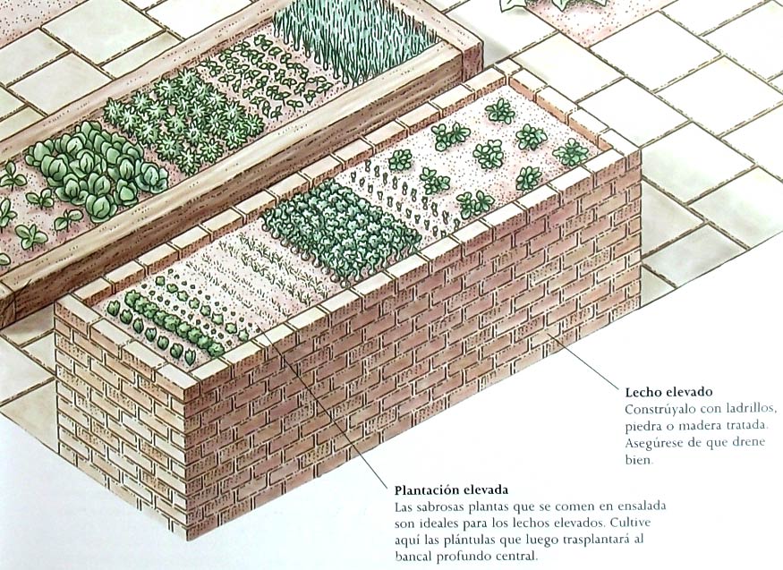 cultivos en lecho elevado