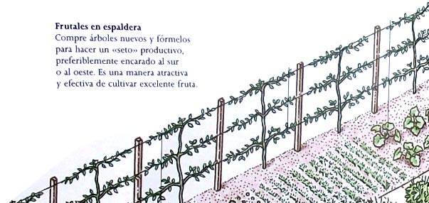 Soportes de alambre para las plantas trepadoras