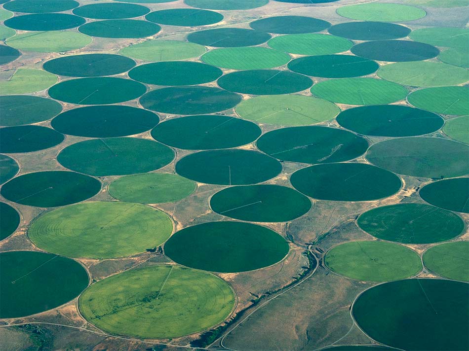 agricultura monocultivo circular